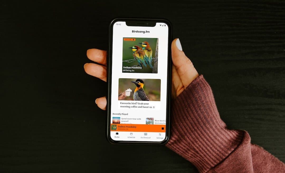 Birdsong.fm live campaign.