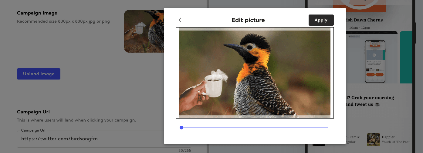 Choosing an app campaign image.