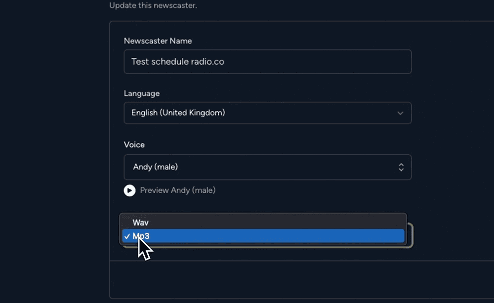 A screenshot showing the Newcaster Name, Language & Audio Format settings within RadioNews AI.